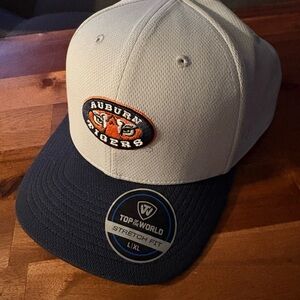 Top of the World Auburn Tigers Gray and Black Baseball Cap